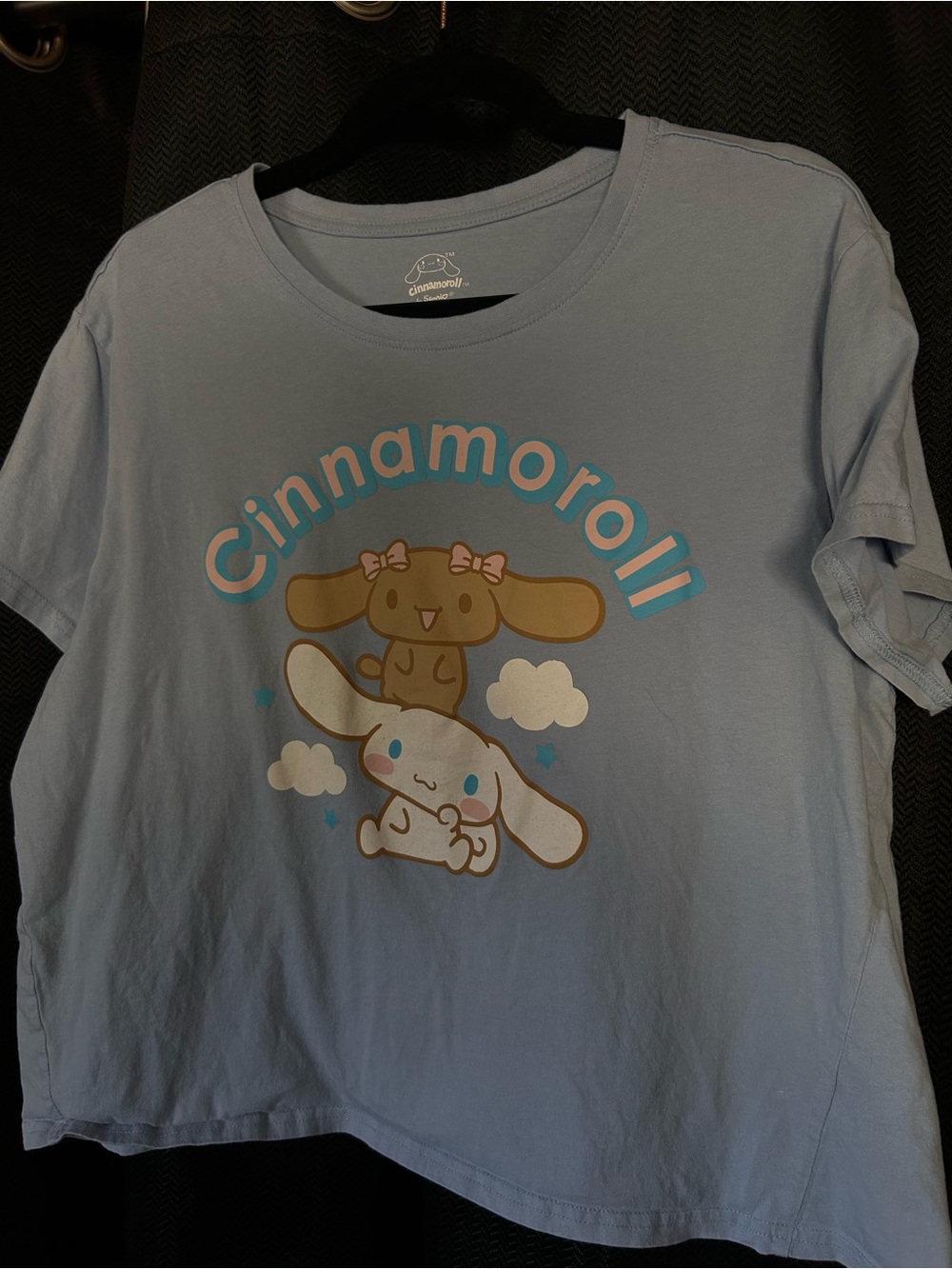 Sanrio Cinnamoroll Top